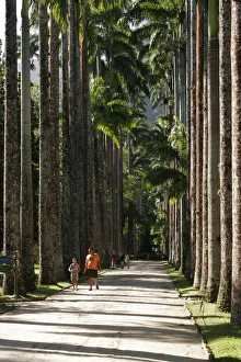 South America, Brazil, Rio de Janeiro State, Rio de Janeiro city, the avenue of royal