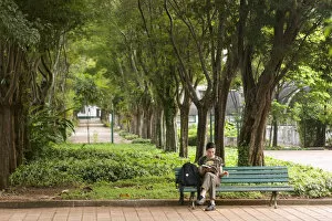 Images Dated 4th December 2012: South America, Brazil, Sao Paulo, woman reading a book in the Bosque da Leitura in