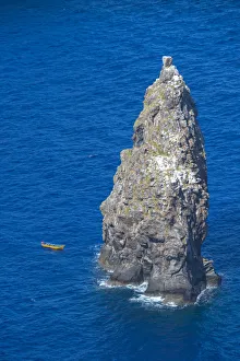 South America, Chile, Easter Island, Isla de Pascua, bird island