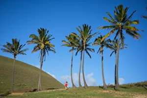 South America, Chile, Easter Island, Isla de Pascua, A woman exploring the island
