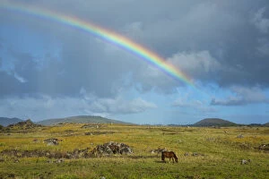 South America, Chile, Easter Island, Isla de Pasqua, Rainbow after a storm