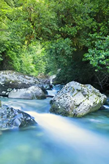 Temperate Prints: South America, Chile, Patagonia, Decima Region, Puelo, Puelo River, stream in