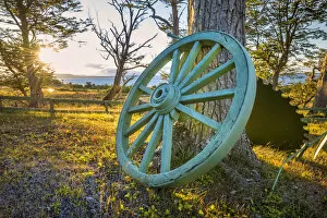 South America, Chile, Tierra del Fuego, Lago Blanco, Old cart wheel in a field