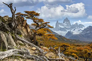 South America, Patagonia, Argentina, Los Glaciares, National Park, Mount Fitz Roy, (m)