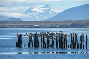 Latin Prints: South America, Patagonia, Puerto Natales, Magallanes and Antartica Chilena Region