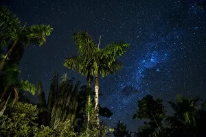 Images Dated 15th July 2015: South America, Peru, Amazonia, South Manu National Park, night sky, UNESCO World