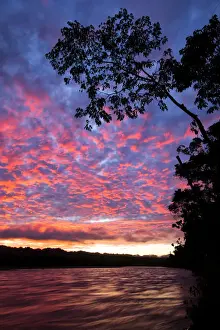 Peru Prints: South America, Peru, Amazonia, South Manu National Park, Madre de Dos river at dawn