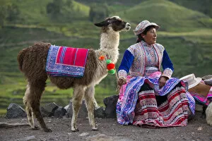 Images Dated 15th July 2015: South America, Peru, Colca Canyon, local native woman with Lama