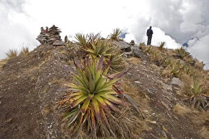Qosqo Gallery: South America, Peru, Cusco. A hiker at the top of the Yanama pass on the trail to