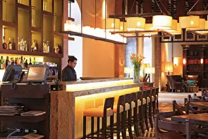 Barman Gallery: South America, Peru, Cusco, Marriott hotel, a waiter at the colonial era bar of the