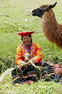 South America, Peru, Cusco. A Quechua woman with a llama in traditional dress - wearing