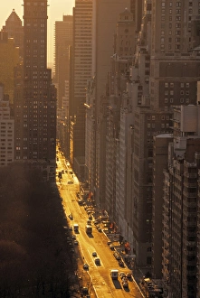 Central Park Prints: South Central Park