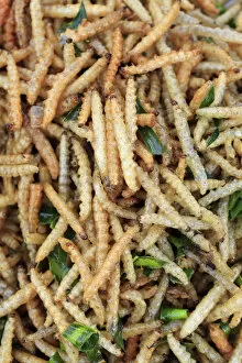 Images Dated 14th June 2013: South East Asia, Thailand, food, deep fried bamboo worm larvae for sale in a Thai market