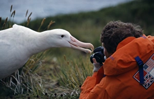 Beak Prints: South Georgia, Bay of Isles, Prion Island