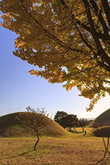 South Korea, Gyeongsanbuk-do, Gyeongju (Unesco Site), Royal Tombs in Tumuli Park