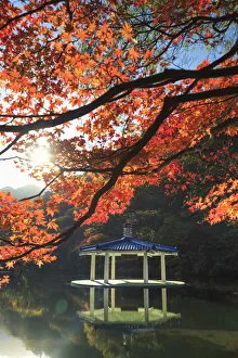 Images Dated 7th March 2018: South Korea, Jeolla Do, Naejangsan National Park, Naejangsan Pond and Wuhwajeong Pavillion
