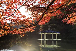 Images Dated 7th March 2018: South Korea, Jeolla Do, Naejangsan National Park, Naejangsan Pond and Wuhwajeong