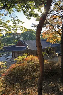 Images Dated 7th March 2018: South Korea, Seoul, Changgyeonggung Palace