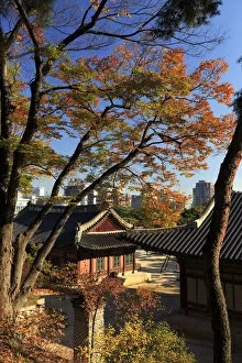 Images Dated 7th March 2018: South Korea, Seoul, Changgyeonggung Palace