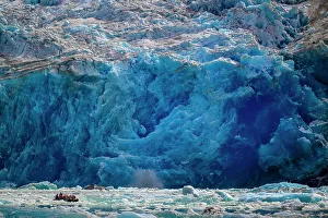 Channels Prints: South Sawyer Glacier, Tracy Arm, Alaska, USA