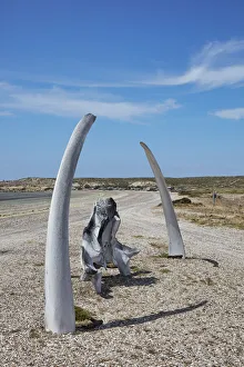 Southern Right Whale bones at Playa Larralde beach, Peninsula Valdes, Chubut, Patagonia, Argentina