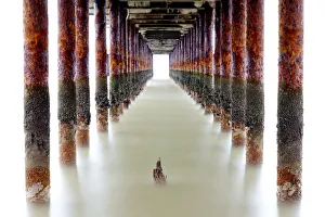 Rust Prints: Southwold Pier Poles, Southwold, Suffolk, England