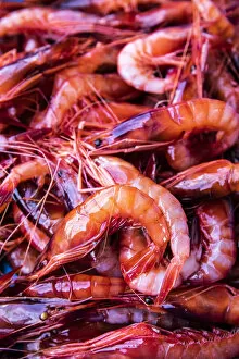 Images Dated 4th September 2020: Spagna - Costa Brava - Food Joan Roca. Vaschetta di gamberi rossi appena pescati