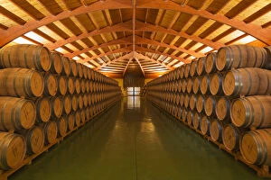 Spain, Alava, Laguardia. A barrel room at Bodegas Campillo