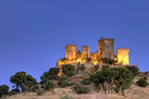 Images Dated 15th May 2012: Spain, Andalucia, Cordoba, Almodovar del Rio Castle