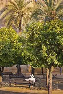 Spain, Andalucia, Cordoba, man sitting on bench under palmtrees (MR)