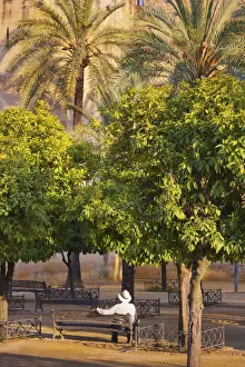 Spain, Andalucia, Cordoba, man sitting on bench under palmtrees (MR)