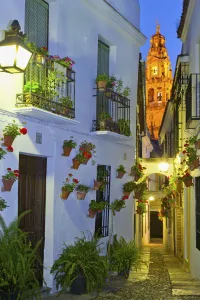 Andalusia Prints: Spain, Andalucia, Cordoba, Traditional flower square at dusk