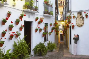 Photography Prints: Spain, Andalucia, Cordoba, Woman photographing Traditional flower square (MR)