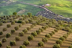 Spain, Andalusia, landscape near Antequera