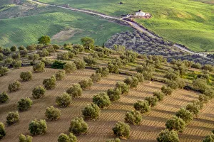 Antequera Prints: Spain, Andalusia, landscape near Antequera