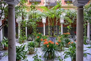 Images Dated 10th July 2019: Spain, Andalusia, Seville, courtyard