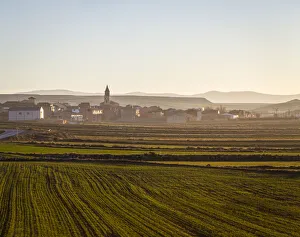 Images Dated 1st October 2020: Spain, Aragon, Celadas, Morning mist in Celadas