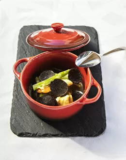 Spain, Aragon, Mora de Rubielos, Fresh vegetable soup with black truffle veloutAA©at