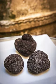 Images Dated 1st October 2020: Spain, Aragon, Rubielos de Mora, Black truffle at the Los Leones restaurant