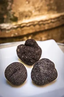 Aragon Prints: Spain, Aragon, Rubielos de Mora, Black truffle at the Los Leones restaurant