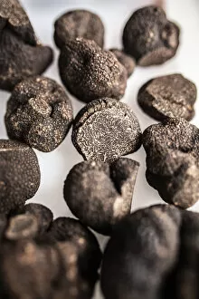 Images Dated 1st October 2020: Spain, Aragon, Sarriaon, Black truffles (Tuber Melanosporum
