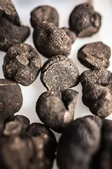Teruel Prints: Spain, Aragon, Sarriaon, Black truffles (Tuber Melanosporum