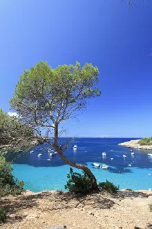Images Dated 2012 January: Spain, Balearic Islands, Ibiza, Cala Salada Beach