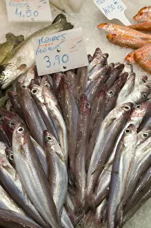 Images Dated 6th October 2008: Spain, Barcelona, La Rambla, La Boqueria Market, fish for sale