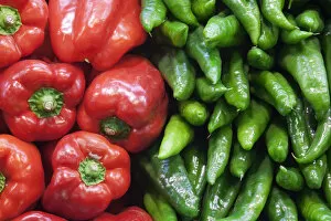 Images Dated 16th June 2011: Spain, Barcelona, The Ramblas, La Boqueria Market, Vegetable Shop Display of Peppers