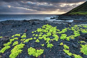 Spain, Canary Islands, El Hierro, Punta Norte