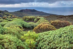 Images Dated 8th August 2022: Spain, Canary Islands, El Hierro, Volcan Orchilla
