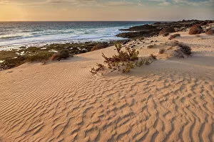 Images Dated 8th August 2022: Spain, Canary Islands, Fuerteventura, Parque Natural de Corralejo