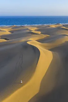 Images Dated 11th September 2019: Spain, Canary Islands, Gran Canaria, Maspalomas Sand Dunes