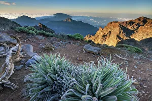 Images Dated 8th August 2022: Spain, Canary Islands, La Palma, Roque de los Muchachos